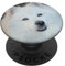 American Eskimo Eskie PopSockets mit austauschbarem PopGrip