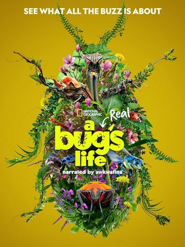 A Real Bug's Life Poster, 30 x 40 cm