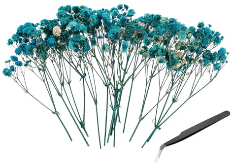 PATIKIL 30Pezzi Kit Mini Fiori Secchi Di Gypsophila Da 4 Pollici Per DIY