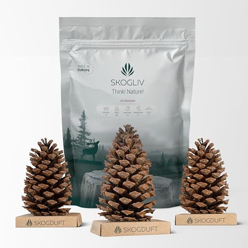 Skogliv Air Freshener – Pack of 3 Midsized Natural Pine Cone Scented with Scandinavian Wood Resin - Biodegradable Formula - Decorative Home Accent - Clean Planet Contribution - Évoque