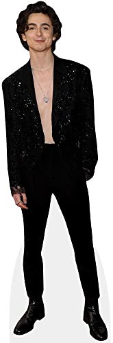 Timothée Chalamet (Topless) Pappaufsteller mini