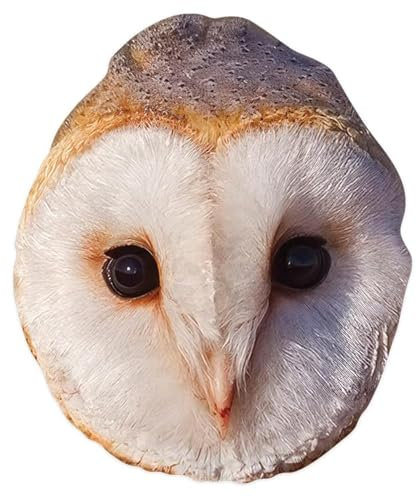STAR CUTOUTS SM444 Eulenmaske aus Karton - Amazing Talking Point - So Realistisch