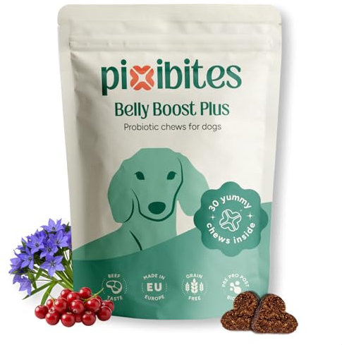 pixibites - Probiotici per Cani, Fermenti Lattici Premium, Digestivo per Cani, Promuove la Salute Intestinale, Supporto Allergie Stagionali e Sistema immunitario