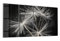 DEQORI Glasbilder Echtglas | Motiv Samen der Pusteblume | horizontal 4-teilig 120x60 cm | große XXL Deko | Wandbilder für Wohnzimmer, Schlafzimmer, Flur & Küche | moderne Wanddeko