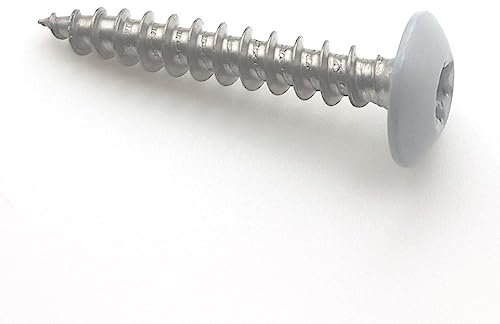 Vis pour penture 6x40 mm RAL 9006 aluminium blanc Inox A2 par 50