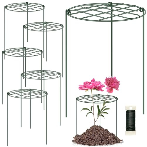 6 Pack 12 x 16 Inch Peony Cages and Supports for Outdoor Plants