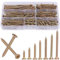 AMLOOPH M4 Wood Screws Assortment, 185pcs Mixed Sizes 20/25/30/35/40/45/50mm, Self Tapping, Security Drywall Concrete Screws With Screw Box