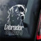 BYRON HOYLE Auto-Aufkleber, Labrador an Bord, schwarzer Retriever-Gewehr, Labor, Vinyl, gestanzt, Geschenk