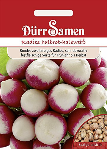 Dürr-Samen - 600 x Radies Halbrot-Halbweiß Saatgut für Garten, Hochbeet & Gewächshaus - Gemüse Radieschen Samen für Gemüsegarten zum Pflanzen rot weiß - Radieschensamen Saat zum Anbauen & Anpflanzen