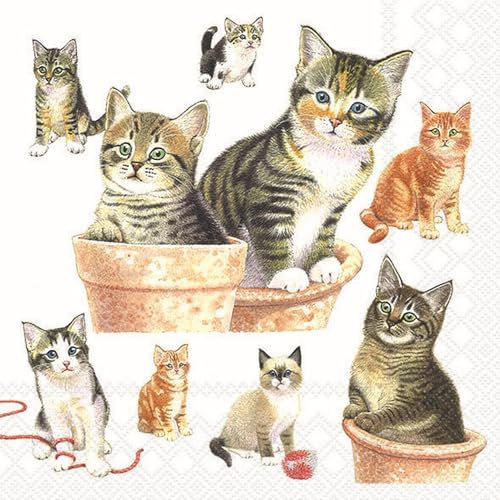 20 Servietten Tiermotive Viele, süße Katzen als Tischdeko. Papierservietten mit Motiv. Auch für Decoupage und Serviettentechnik 33x33cm