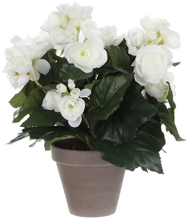 Mica decorations BEGONIE IN Stan Topf, Polyester, Weiss, 25 x 25 x 30 cm, 6-Einheiten
