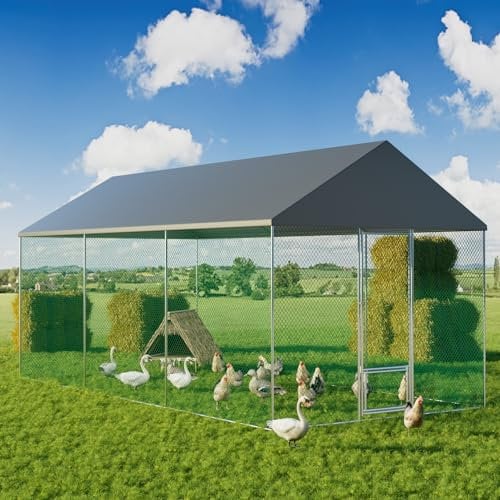 BingoPaw Hühnerstall Hühner Freilaufgehege XXL: 3x6x2.7m begehbar Hühnergehege 18 m² Hühnervoliere mit Winterfest Dach Tür Schloss Hühnerauslauf für Voliere Hühner Kleintiere Ente Kaninchen