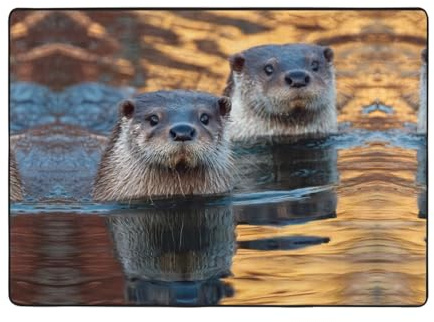 HHGFASD Teppich mit Lichtmuster Otters in the Lake, 203,2 x 147,3 cm, für Wohnzimmer, Büro, Couchtisch, Bett, Balkon, weich, flauschig, wasserabsorbierend, langlebig