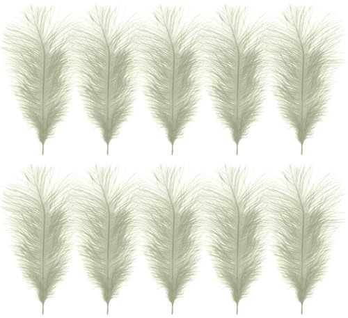 WedDecor Ivory Natural Ostrich Feathers 14-16 Inch (35-40cm), Pack of 10 | Craft Feathers for Wedding Centerpieces, Home, Decorating Costumes, Embellishment, Art & Craft, Parties