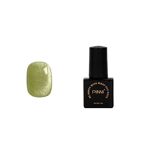 PINNI Cat Eye Gel Nail Polish 3D Magnetic Glitter Auroras Snowlight Pastel Colours UV LED Semi Permanent Soak Off Manicure Varnish for Nail Art Design 5ml, Bronze