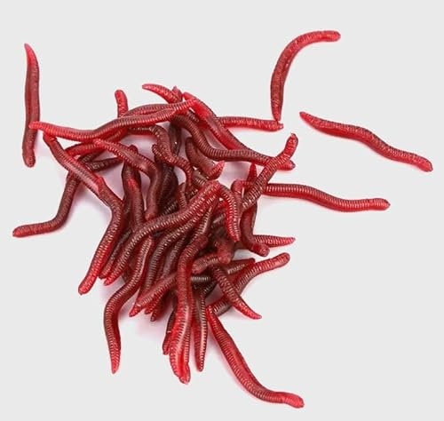 EVERBAY Worms for Fishing Soft Lures - Smelling Fake Worms Fishing Lures – Carp Fishing Bait – Brown Trout Barbel Lures Silicone Soft Maggot Earthworm Artificial Bait Lifelike Swimbait - 50pcs