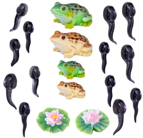 Kisangel 1 Satz Frösche Wachstumszyklus Tierwachstumszyklus Biologicals Modell Mini Frösche Figuren Kaulquappen Tiere Modell Feengarten Miniatur DIY Terrarium Basteln