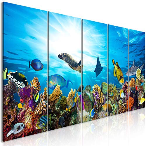 murando - Wandbilder XXL Fisch 150x60 cm Vlies Leinwandbild 5 Teilig Kunstdruck modern Wandbilder XXL Wanddekoration Design Wand Bild - Korallenriff unter Wasser blau b-B-0320-b-m