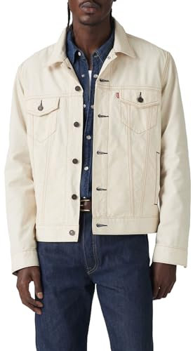 Levi's Men's The Trucker Jacket, LONGING for Summer, L