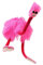 JOINPAYA Marionetten-Spielzeug Für Junge Mädchen Ostrich-Puppe Mit Zugfaden Kreatives Handspielzeug Für Interaktive Aufführungen Und Geschichtenerzählen Fördert Fingerfertigkeit Und