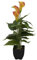 artplants.de Künstliche Calla Jamila im Topf, 3 Blüten, gelb - orange, 40cm - Kunstblume getopft