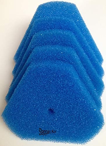 Steppan 5 Stück Ersatzschwämme für Oase SwimSkim CWS Skimmer Oberflächenabsauger.