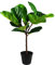 Leaf Design UK Artificial Fiddle Fig Tree Plant Black Plastic Pot, Green, 60cm