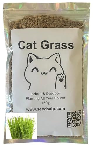 Cat Grass - Quick and Easy to Grow Cat Grass Seeds Ready in 2-4 Weeks, can Help aid Your Cat's Digestion and Health Approx. 700 Seeds