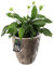 KADAX Pot de Fleurs Haut, Jardinière en Plastique de Grande Taille avec Motif Moderne pour Sublimer Votre Intérieur ou Extérieur, Bac à Fleur (Beige, 32.5 cm)