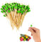 Spldsun 100 Piezas Palos de Cóctel, Palillos de Dientes Cóctel, Palillos de Cóctel de Madera, para Cócteles, Pasteles Barbacoas, Fiesta y Boda Decoración (Verde)
