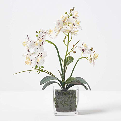 HOMESCAPES Orchidea artificiale bianca in vaso altezza 42cm realistica pianta di orchidea artificiale in vaso di vetro quadrato con fiori di seta e foglie verdi Phalaenopsis orchidea fiore per interni