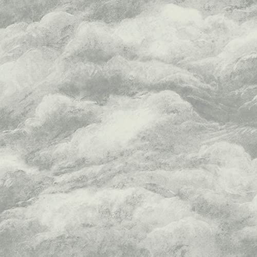 Belgravia Décor Cloud Wallpaper - Modern Wallpaper for Living Room, Bedroom, Hallway - Decorative Luxury Nature Wall Paper with Dreamy Cloud-Like Effect (Cloud,Silver)