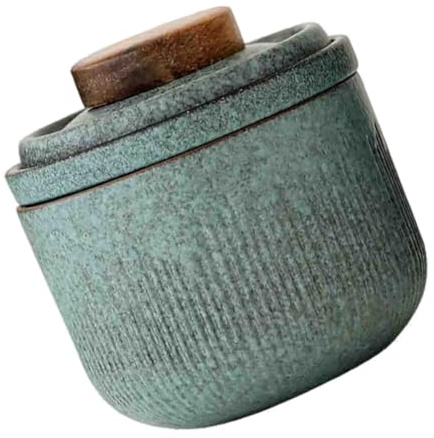 VERDANVERSE Portable Travel Tea Set Tea Set for Travel with Pot Filter and Storage Bag Portable Ware for Brewing Matcha Green Scented and Pu- Home Use Travelling Gifting