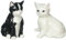 Cosmos Gifts 20759 Black-White Cat Salt and Pepper Shaker, Ceramic