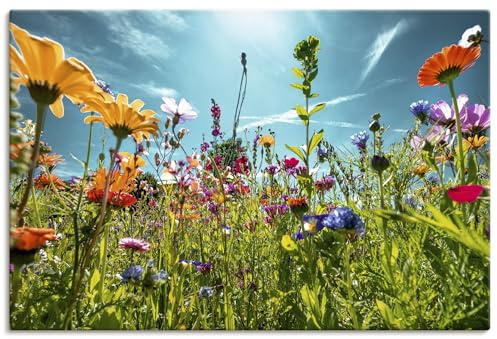 ARTLAND Wanddeko Leinwand Bilder Wandbild 60x40 cm Blumenbilder Blumenwiese Blüten Frühling Blumen Bunt U2KS