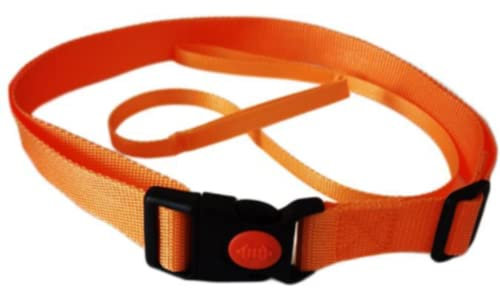 Swim Training Belts, Lifebuoy strap Waist Belt Swimming Buoy Webbing, Swim Tether Stationary Swimming, Swim Harness Static Swimming Belt Strap for Inflatable Swimming Buoy Tow Float Air Bag