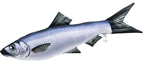 GABY Fish Pillows Dekoratives Kissen in Form eines echten Fisches, Mini Clupeiformes (Hering/Sardine)