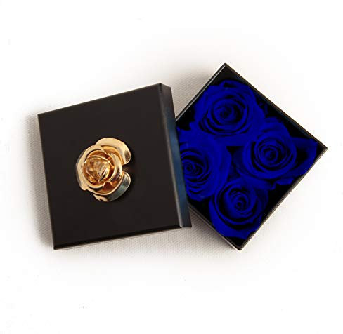 ROSEMARIE SCHULZ Heidelberg Kleine Infinity Rosen haltbar 3 Jahre in Box Rose konserviert (Blau, 4 Röschen)