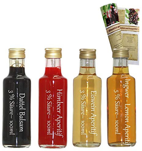 Essig Geschenkset & Probierset | 4 x 100ml Essig | Dattel Balsam - Himbeer Essig - Eiswein Essig - Ingwer Lemone Aperitif Essig | mit Rezeptbroschüre