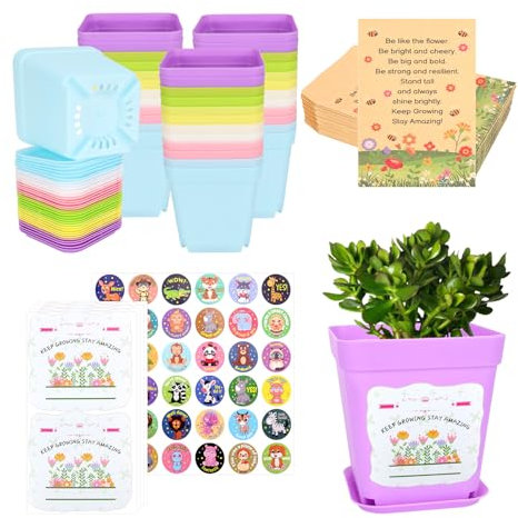 Gifts For Students From Teachers, 36Pcs Plastic Square Plant Pots, End Of Year Class Gifts For 30 Children, Small Flower Pots Student Gifts With Plates, Stickers, Seed Envelopes, School Leavers Gifts
