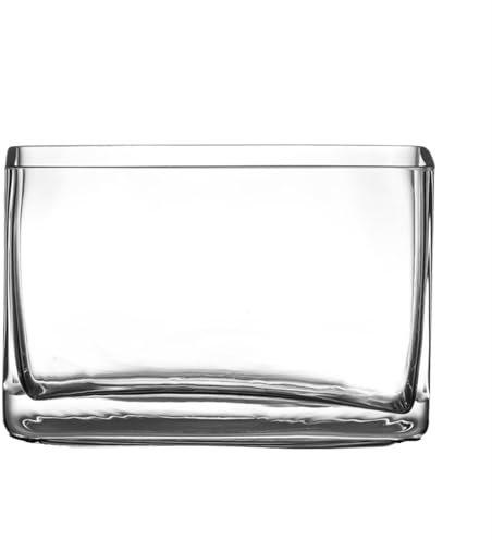 XXAD553TY Bocal Poisson Aquarium en Verre Salon Petit rectangulaire Mini Aquarium Maison Aquarium Bureau créatif Combat Poissons Poissons Aquarium Terrarium