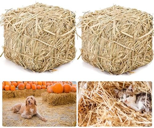 Lengba Natural Straw Bale for Cat Shelter – 8x8x8Soft & Dry Straw Bedding for Cats, Feral Cats & Small Animals | Decorative Hay Bale for Outdoor Use, Farm Décor, Garden Straw & Pet Bedding (2)