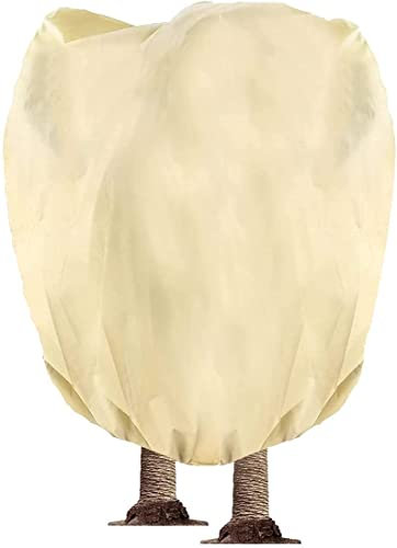 Hydrogarden Winterschutz Vlieshaube, H: 360cm, Ø 250cm, 80g/qm - Kübelpflanzensack sehr groß - Schutzhaube Pflanzen, Olive, Palmen Frostschutz