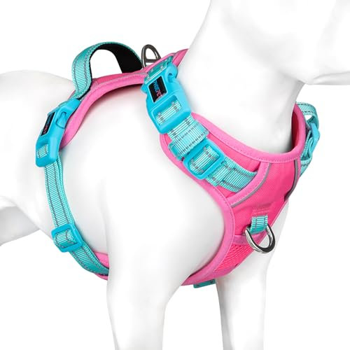 PHOEPET No Pull Hundegeschirr, reflektierende Hundeweste, mit weichem Trainingsgriff für kleine, mittelgroße und große Hunde (Rosa Basis und Grüne Träger, S)