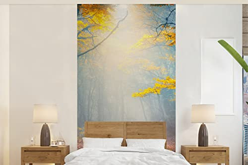 MuchoWow Papier peint Forêt - Brouillard - Automne Papier peint photo 120x240 cm Papier peint imprimé