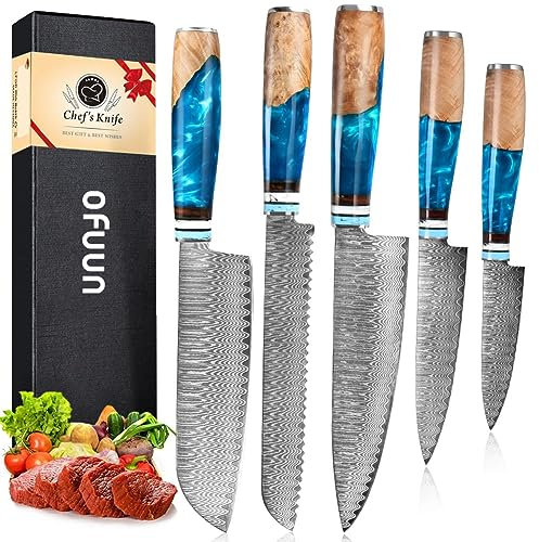 oFuun Set Cuchillo Cocina 5 Piezas, 67 Capas de Acero de Damasco Profesional Juegos de Cuchillo de Cocinero, Cuchillo Chef Kiritsuke Nakiri Deshuesar Universal con Mango Resina Azul