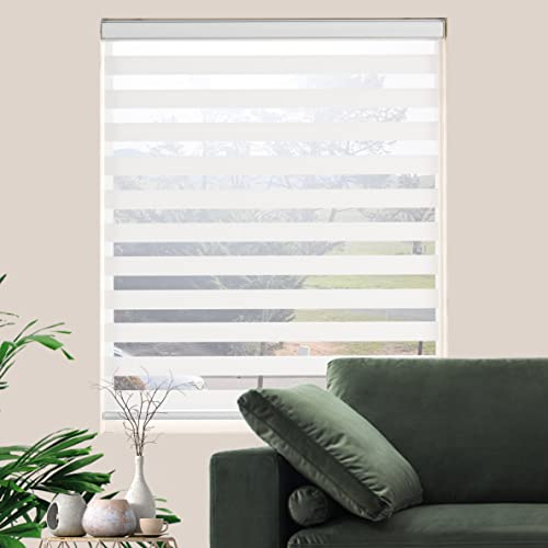 JIANGPIN TEXTILE Zebra Roller Shades, Dual Layer Roll Up Blind for Living Room, Semi Sheer Shades Window Privacy Light Control for Day and Night, (Maximum Height 72inch, White Color, Width 34 inch)