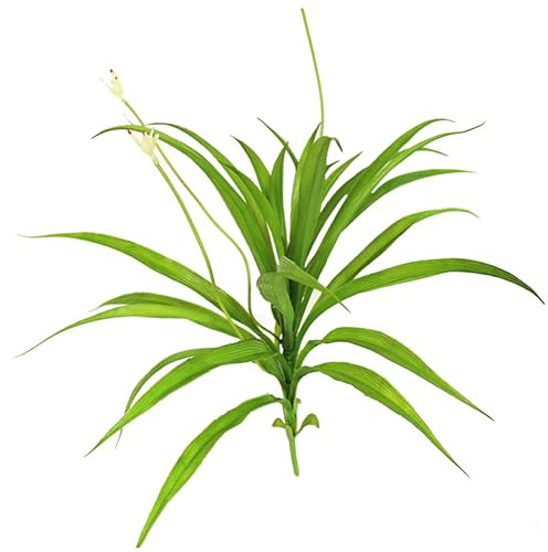 HOLIDYOYO Pianta Di Ragno Simulata Decorazione Per Interni Orchidee Piccole Orchidee In Vaso Fiori Viola Artificiali Foglie Realistiche Piante Finte Sospese Decorazioni Per La Casa