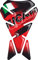 PARASERBATOIO ADESIVO, TANKPAD, TANKSCHUTZ, PROTECTION DE RESEVOIR, RESINATO EFFETTO 3D compatibile con DUCATI PANIGALE 1199 1098 999 748 848 916 RED