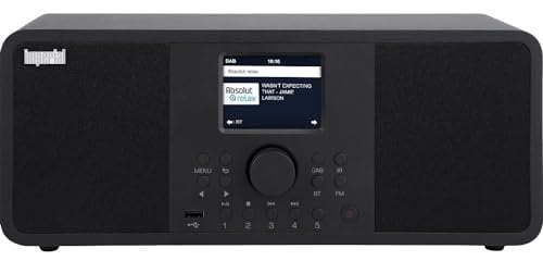 Imperial DABMAN i205 - Radio Internet/DAB+ (2 × 15 Watt, servizi di streaming, Bluetooth, Webradio, radio FM, display a colori, controllo app, sveglia) - Nero